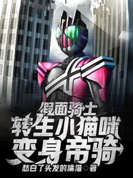 Kamen Rider: Reincarnation of a Kitty, Transformed into Decade